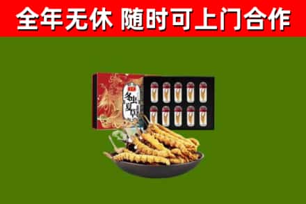 城步县回收冬虫夏草价格